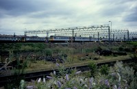 Class 117 DMU at Tyseley carriage sidings