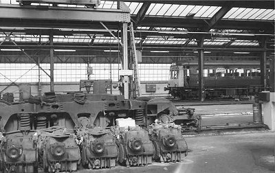 Inside Cricklewood shed