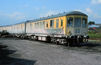 100 DMU