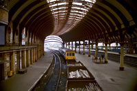 101 DMU