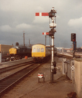 DMU image