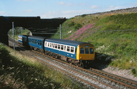 DMU