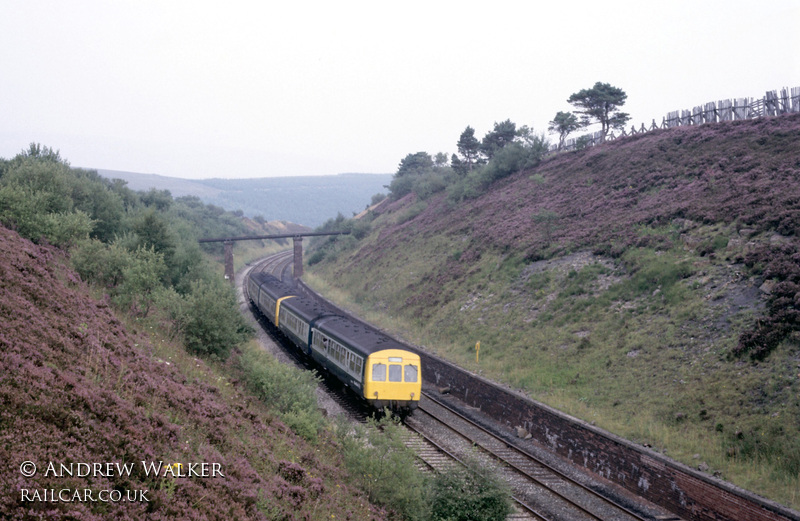 Class 101 DMU at Dent