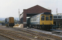 Hammerton Street depot on 16th May 1982