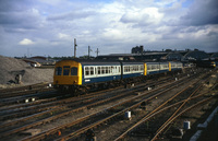 111 DMU