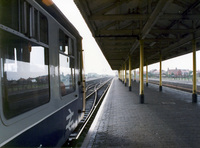 114 DMU