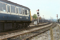 115 DMU