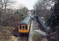 DMU