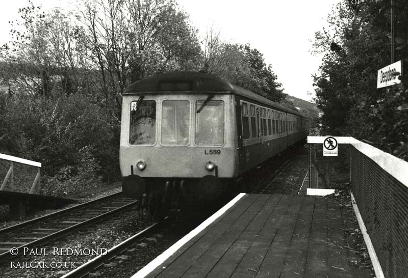 Class 119 DMU at Deepdene