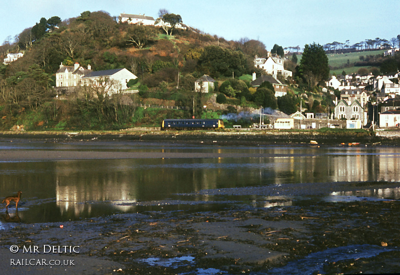 Class 121 DMU at Looe