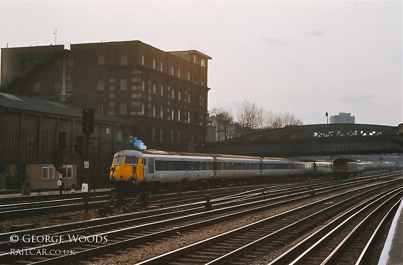 Blue pullman at Royal Oak