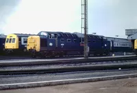 Haymarket depot on 11th July 1981