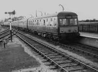 DMU