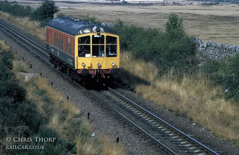 Derby lightweight at near Muir of Ord
