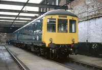 DMU