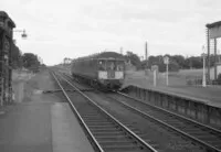 100 DMU