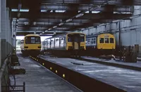 Class 101 DMU at Hull Botanic Gardens depot