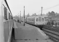 101 DMU
