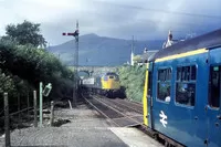 DMU