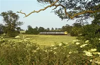 Class 101 DMU at Hatton