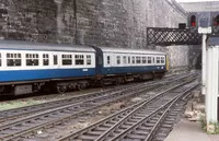 DMU