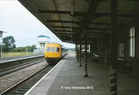  DMU