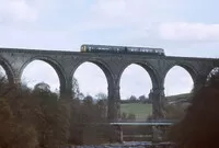 DMU