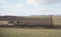  DMU