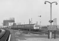 DMU
