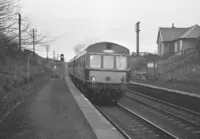 DMU