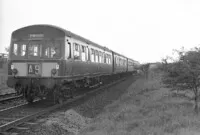  DMU