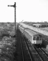  DMU