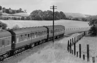 DMU
