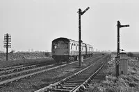 Class 105 DMU at French Drove