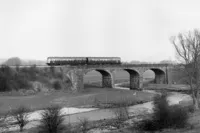  DMU