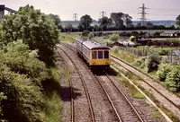 DMU
