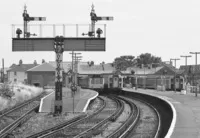  DMU