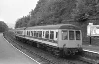 DMU