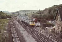  DMU