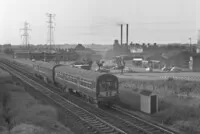 DMU