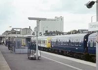 DMU