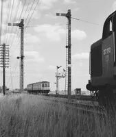 DMU image