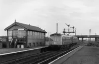  DMU
