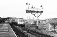 DMU