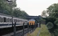 DMU