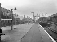  DMU