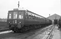  DMU