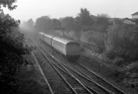 DMU