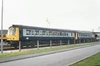 DMU