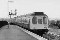 DMU